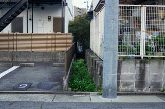 耕地整理地区内にたくさんある水路跡のひとつ
