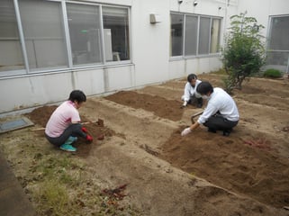 たくさんとれました（＾＾）（＾＾）（＾＾）♪