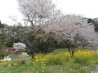 のどかな景色でした～
