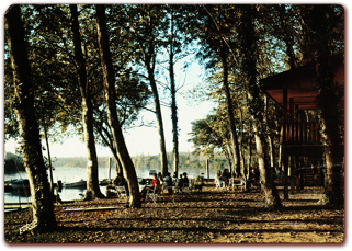 orthe, port de lanne, peyrehorade, landes, aquitaine, hastingues, gave, adour, barthes, saumon, alose, bec du gave, lamproie, marée, arthous, lavoir, couralin