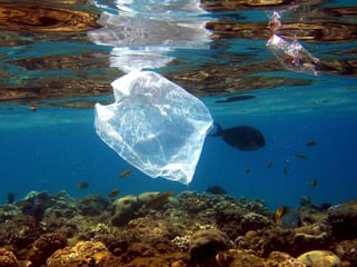 Riesige Mengen Plastik landen jedes Jahr in der Umwelt, wo sie nur sehr langsam abgebaut werden. Foto: Mike Nelson