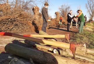 Sappies - wichtige Werkzeuge, um Holzstämme zu bewegen