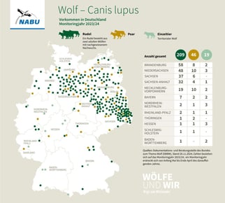 Vorkommen von Wölfen in Deutschland (Quelle: NABU)