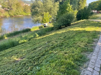 Hier wird ein Lebensraum zerstört