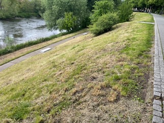 und das sind die Blühwiesen in Jena