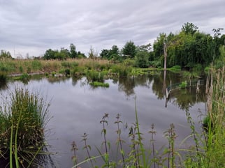 Finkensee, Foto: ©K.Klein