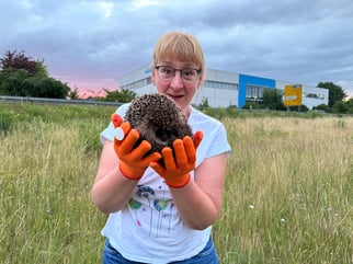 Foto: © Aktion Rehkitz