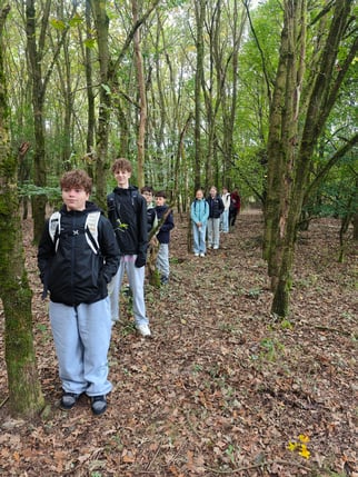 Im Ausgleichswald: Foto ©FWolf