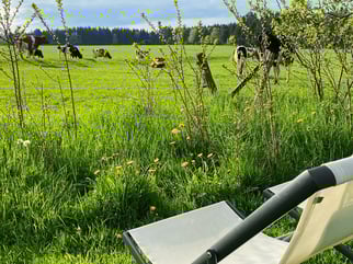 Viel Platz Sitz und Relaxmöglichkeiten am Hof