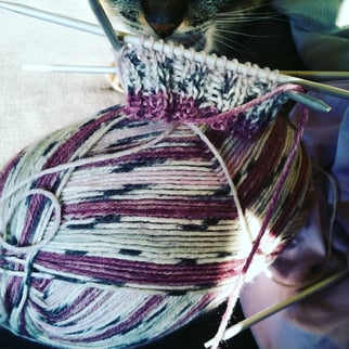 Achtsamkeit, Bewusstseinstraining, Mentalcoach