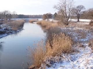 Elsteraue, Foto B.Simon