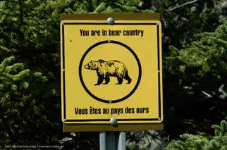 Mit dem Wohnmobil im Denali Nationalpark in Alaska und den Yukon