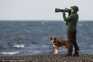 Der Österreichische Pinscher: Unsere erste Auslandsreise mit unserem Welpen Adi von den Nuthewiesen mit dem Wohnmobil nach Schweden