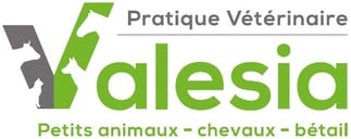 pratique veterinaire valesia riddes valais