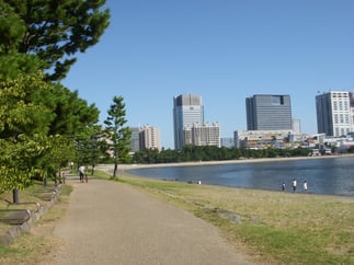 橋をわたってからレンタサイクルまでは、ぜひ海岸沿いを歩きたい。防砂林としてだろうか、松林が続く。