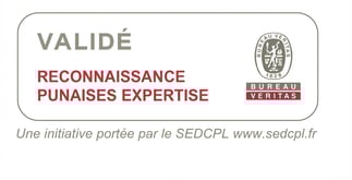 Reconnaissance Punaises Expertise