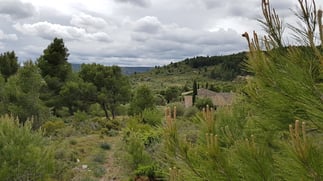  bergerie-créations "Léo et Léonie" -Corbières maritimes