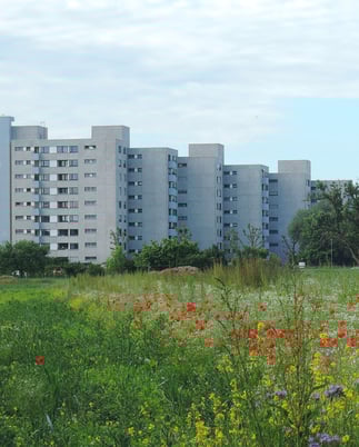 Foto: NABU, Andreas Taglieber