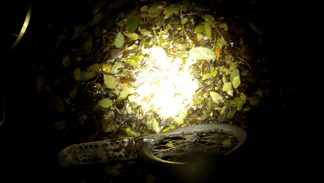 Plattfuß am Hinterrad - kaum zu sehen, aber bei der Fahrt gut zu hören.