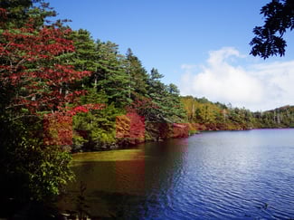 トミーワンハイキング　白駒池・高見石　アウトドアショップ　群馬県太田市