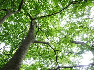 トミーワンハイキング　雨巻山　アウトドアショップ　群馬県太田市