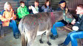 Eselwandern-Eifel-Petra-Landsberg-Bongard-NaturPur-Entschleuniger-Entschleunigung-Auszeit-Eseln-Geschichtsstraße-Gutschein-Geschenkidee-Waldübernachtung-Schäferwagen-Naturerlebnis-Abenteuer-Eselführerschein-Barsberg-Vulkaneifel-Altes-Forsthaus-Wanderroute
