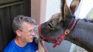 Eselwandern-Eifel-Petra-Landsberg-Bongard-NaturPur-Entschleuniger-Entschleunigung-Auszeit-Eseln-Geschichtsstraße-Gutschein-Geschenkidee-Waldübernachtung-Schäferwagen-Naturerlebnis-Abenteuer-Eselführerschein-Barsberg-Vulkaneifel-Altes-Forsthaus-Wanderroute