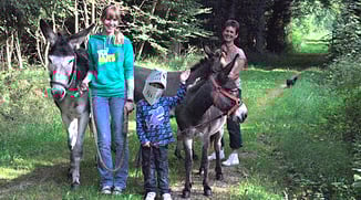 Eselwandern-Eifel-Petra-Landsberg-Bongard-NaturPur-Entschleuniger-Entschleunigung-Auszeit-Eseln-Geschichtsstraße-Gutschein-Geschenkidee-Waldübernachtung-Schäferwagen-Naturerlebnis-Abenteuer-Eselführerschein-Barsberg-Vulkaneifel-Altes-Forsthaus-Wanderroute