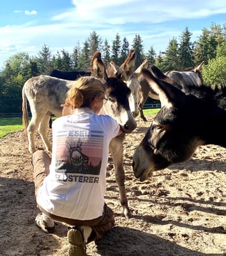 Eselwandern-Eifel-Petra-Landsberg-Bongard-NaturPur-Entschleuniger-Entschleunigung-Auszeit-Eseln-Geschichtsstraße-Gutschein-Geschenkidee-Waldübernachtung-Schäferwagen-Naturerlebnis-Abenteuer-Eselführerschein-Barsberg-Vulkaneifel-Altes-Forsthaus-Wanderroute