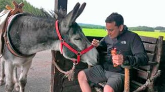 Eselwandern-Eifel-Petra-Landsberg-Bongard-NaturPur-Entschleuniger-Entschleunigung-Auszeit-Eseln-Geschichtsstraße-Gutschein-Geschenkidee-Waldübernachtung-Schäferwagen-Naturerlebnis-Abenteuer-Eselführerschein-Barsberg-Vulkaneifel-Altes-Forsthaus-Wanderroute