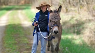 Eselwandern-Eifel-Petra-Landsberg-Bongard-NaturPur-Entschleuniger-Entschleunigung-Auszeit-Eseln-Geschichtsstraße-Gutschein-Geschenkidee-Waldübernachtung-Schäferwagen-Naturerlebnis-Abenteuer-Eselführerschein-Barsberg-Vulkaneifel-Altes-Forsthaus-Eselliebe