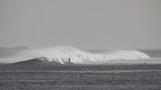 Leadership Beratung für erfolgreiche Unternehmen. True Leadership, Zürich.