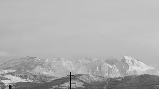 Persönliche Entwicklung: Leadership Coaching von True Leadership, Zürich.