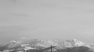 True Leadership: Leadership Development for Companies that will attract the Best. Based in Zurich.