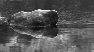 Retraiten, Klausuren, Retreats: True Leadership, Zürich.