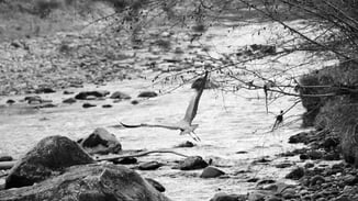 Prozessbegleitung bei Konflikten oder um Zusammenarbeit zu entwickeln. True Leadership, Zürich.