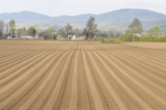 健康な土づくり