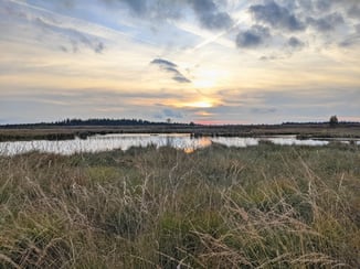 Wanderung Moor Hohes Venn