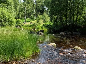 Natur entdecken in der Eifel Monschau 