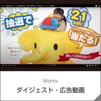 ダイジェスト・広告動画