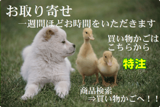 今月の店長一押しお取り寄せ