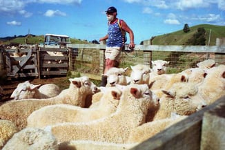 an diesem Nachmittag stand eine Impfung auf dem Programm