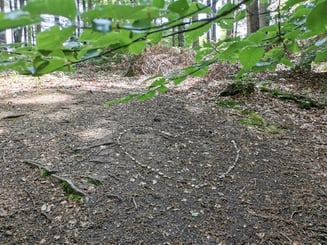 Am Grabensee bei Salzburg