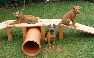 Photo d'adieu, semaine 11