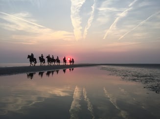 Villa Fashion - Ferienhaus Albarella mit Pool und Villa Costanza - Ferienhaus Albarella - Reiten am Strand