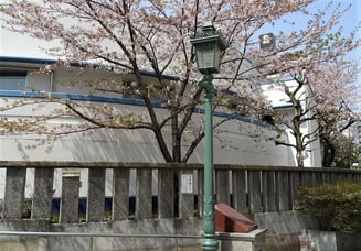 クリックして拡大