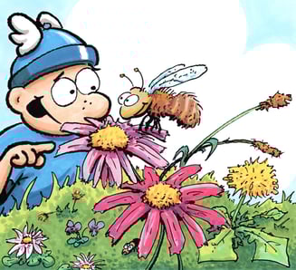 (C) M- Schäferjohann