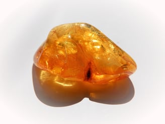 Im Bernstein sind oft kleine Blätter oder Insekten eingeschlossen.