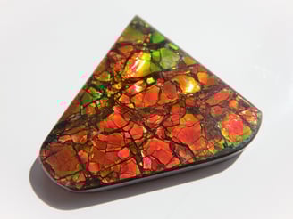 Ammolit - Eine einzigartige Kombination von hoher Temperatur und Druck erzeugt die schillernden Farben dieser seltenen organsichen fosilen Edelsteine.