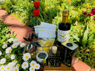 ノビエンブレ　オー・リーブジャパン　Jimdoアドベントカレンダー2018